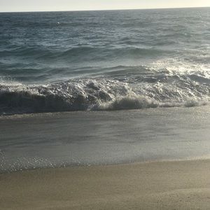 Meet your Posher, Sandi